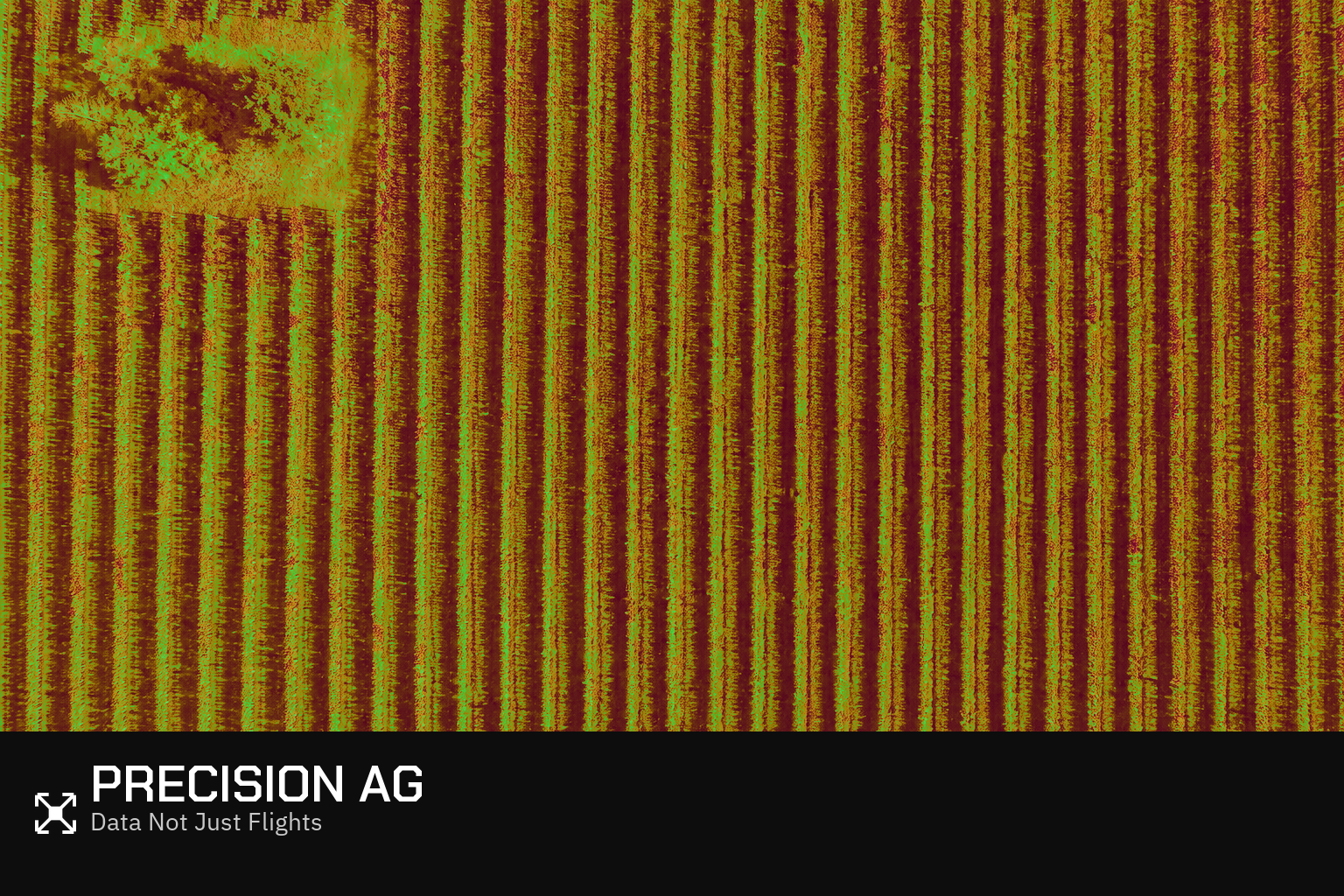Multispectral-style crop health map over vineyard rows—precision agriculture drone career